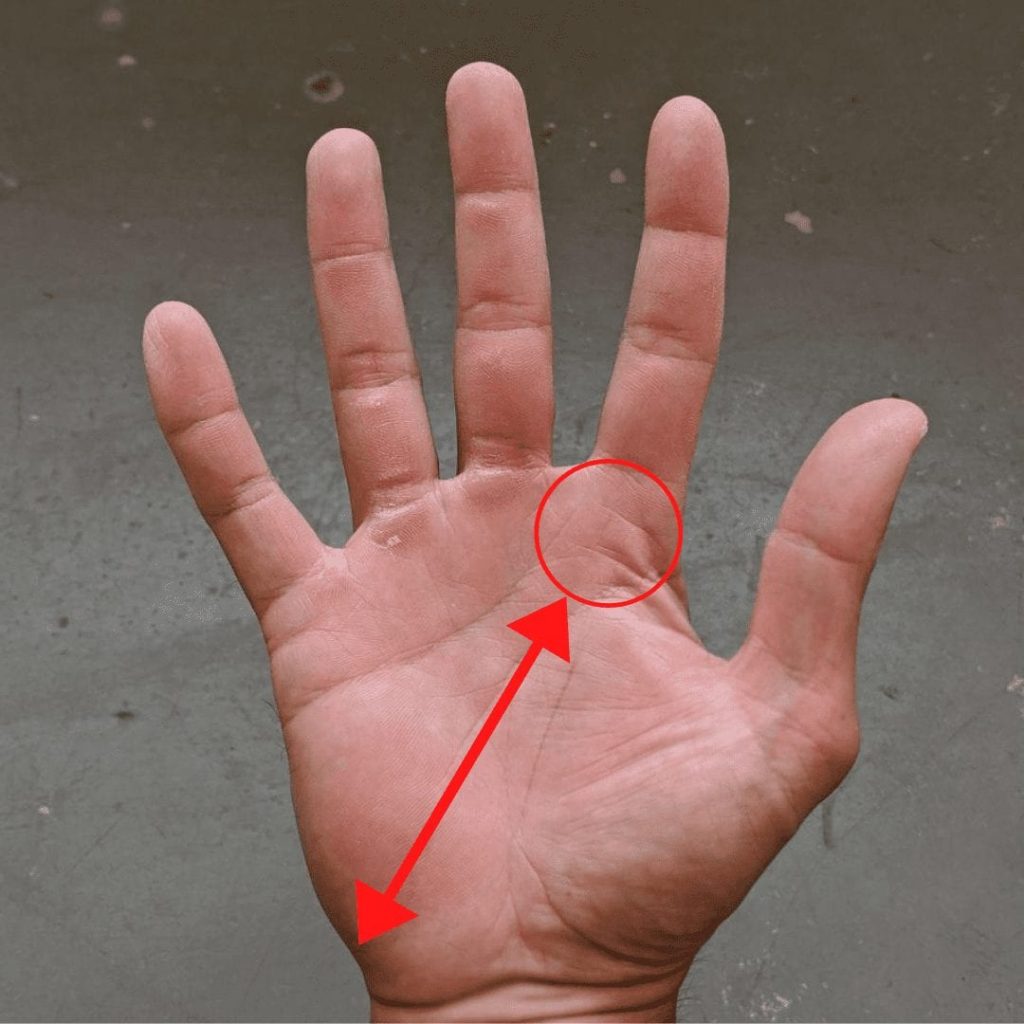 ساختار گریپ تنیس