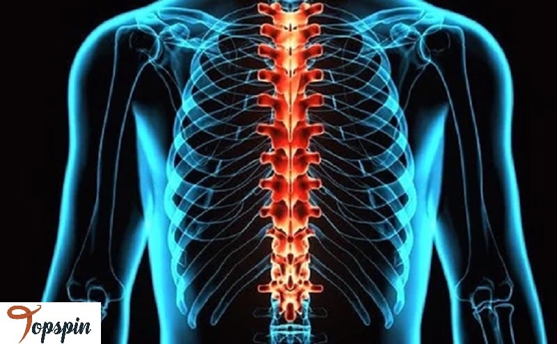 مصدومیت‌های تنه و ستون فقرات
